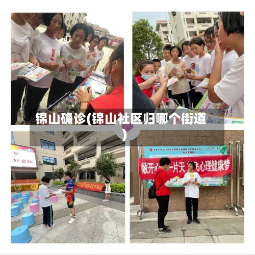 锦山确诊(锦山社区归哪个街道)