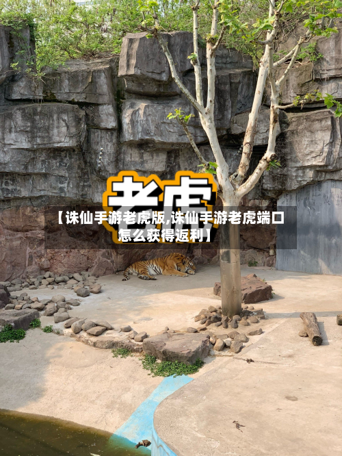 【诛仙手游老虎版,诛仙手游老虎端口怎么获得返利】