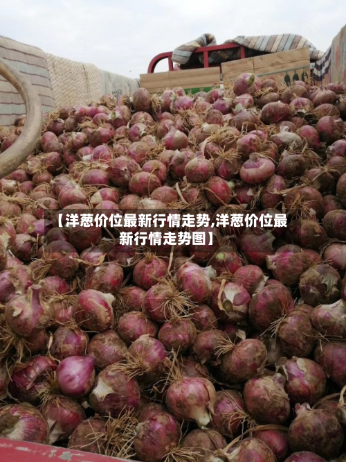 【洋葱价位最新行情走势,洋葱价位最新行情走势图】