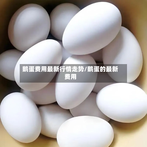 鹅蛋费用最新行情走势/鹅蛋的最新费用