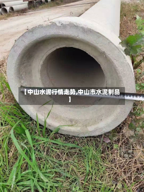 【中山水泥行情走势,中山市水泥制品】-第2张图片