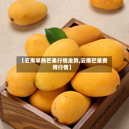 【云南早熟芒果行情走势,云南芒果费用行情】-第2张图片