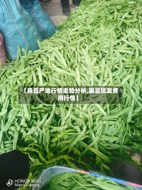 【扁豆产地行情走势分析,扁豆批发费用行情】