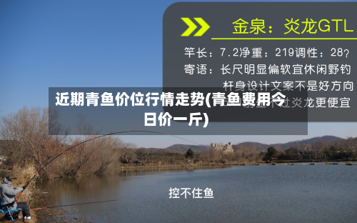 近期青鱼价位行情走势(青鱼费用今日价一斤)