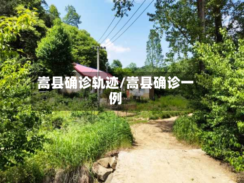 嵩县确诊轨迹/嵩县确诊一例