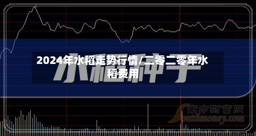 2024年水稻走势行情/二零二零年水稻费用