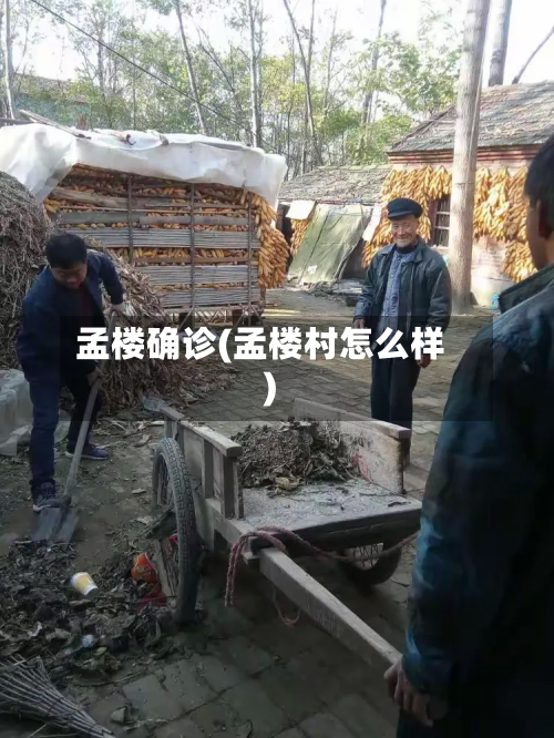 孟楼确诊(孟楼村怎么样)-第2张图片