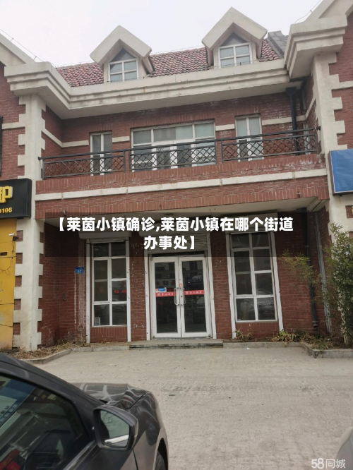 【莱茵小镇确诊,莱茵小镇在哪个街道办事处】