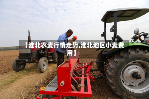 【淮北农麦行情走势,淮北地区小麦费用】
