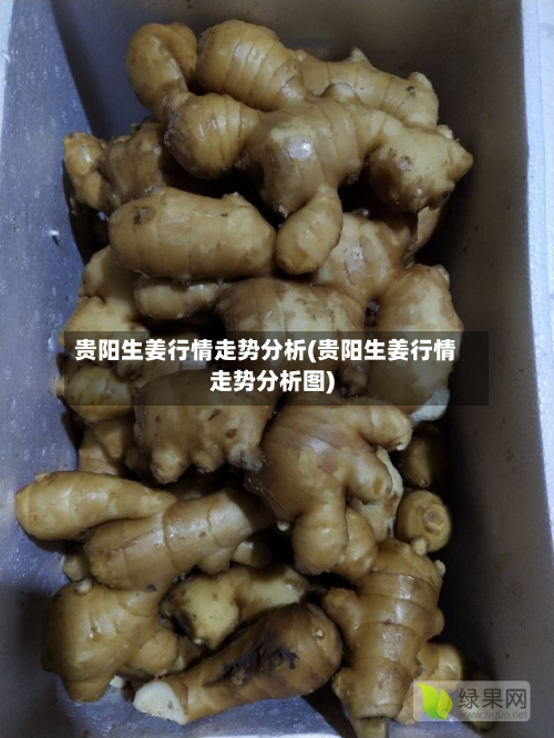 贵阳生姜行情走势分析(贵阳生姜行情走势分析图)-第2张图片