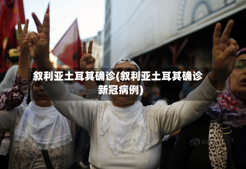 叙利亚土耳其确诊(叙利亚土耳其确诊新冠病例)-第2张图片