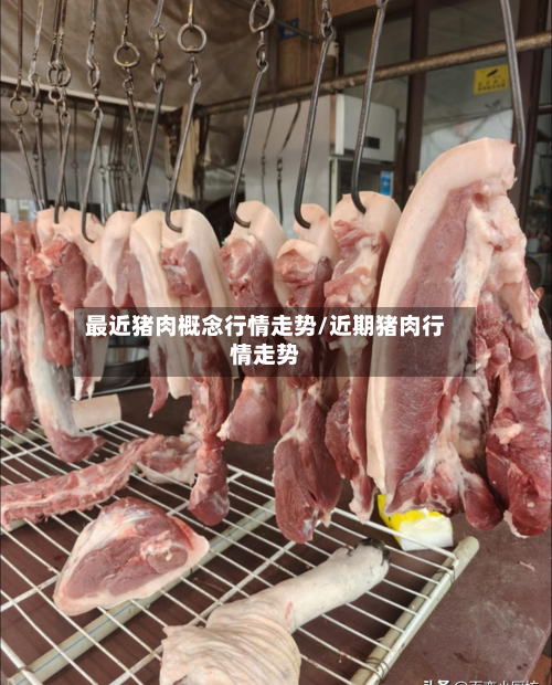 最近猪肉概念行情走势/近期猪肉行情走势-第2张图片