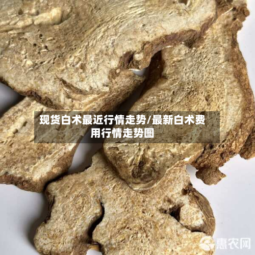 现货白术最近行情走势/最新白术费用行情走势图