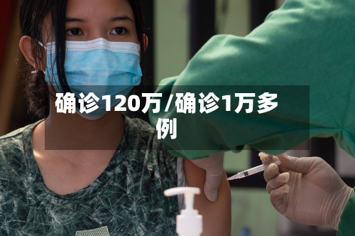 确诊120万/确诊1万多例