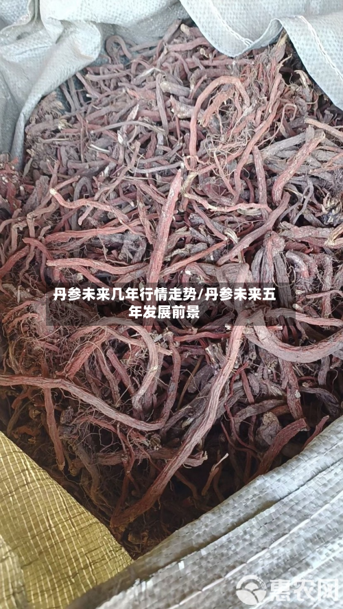 丹参未来几年行情走势/丹参未来五年发展前景-第3张图片