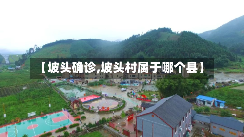 【坡头确诊,坡头村属于哪个县】