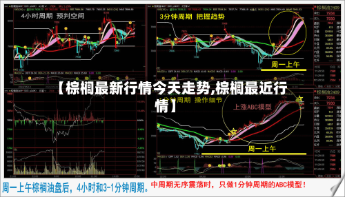 【棕榈最新行情今天走势,棕榈最近行情】