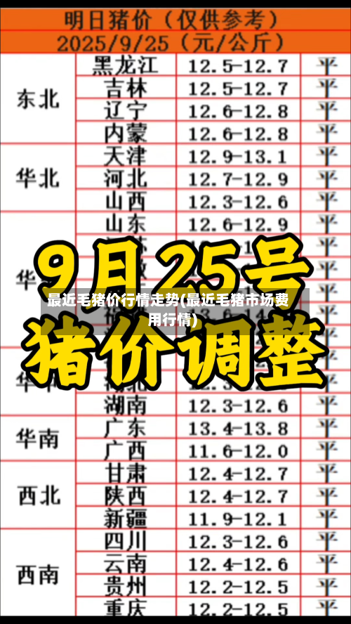 最近毛猪价行情走势(最近毛猪市场费用行情)-第2张图片