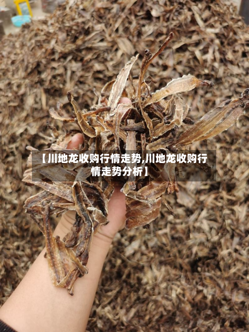 【川地龙收购行情走势,川地龙收购行情走势分析】