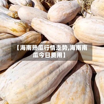 【海南熟瓜行情走势,海南南瓜今日费用】