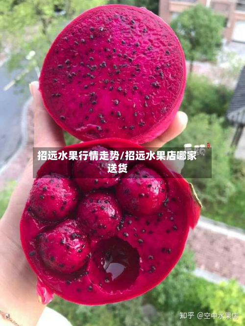 招远水果行情走势/招远水果店哪家送货