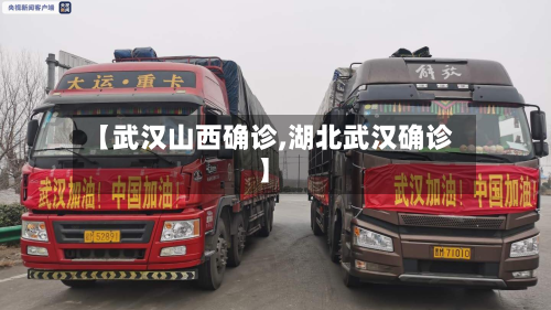 【武汉山西确诊,湖北武汉确诊】