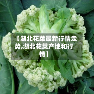 【湖北花菜最新行情走势,湖北花菜产地和行情】-第2张图片