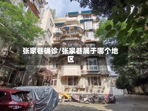 张家巷确诊/张家巷属于哪个地区-第2张图片