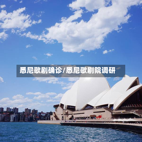 悉尼歌剧确诊/悉尼歌剧院调研-第2张图片