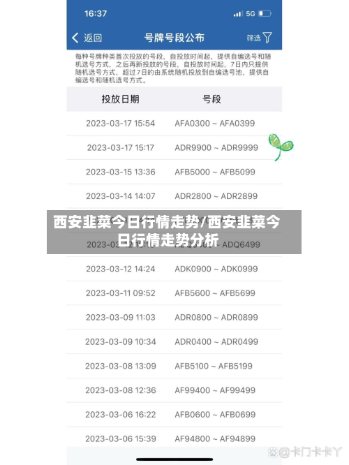 西安韭菜今日行情走势/西安韭菜今日行情走势分析-第2张图片