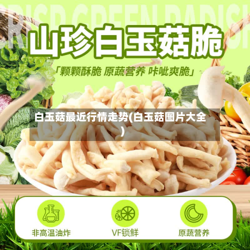 白玉菇最近行情走势(白玉菇图片大全)-第2张图片