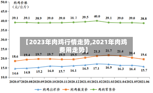 【2023年肉鸡行情走势,2021年肉鸡费用走势】-第3张图片