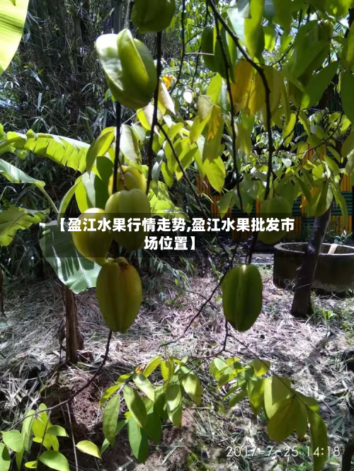 【盈江水果行情走势,盈江水果批发市场位置】