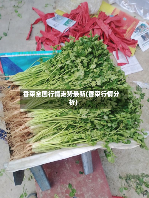 香菜全国行情走势最新(香菜行情分析)-第2张图片