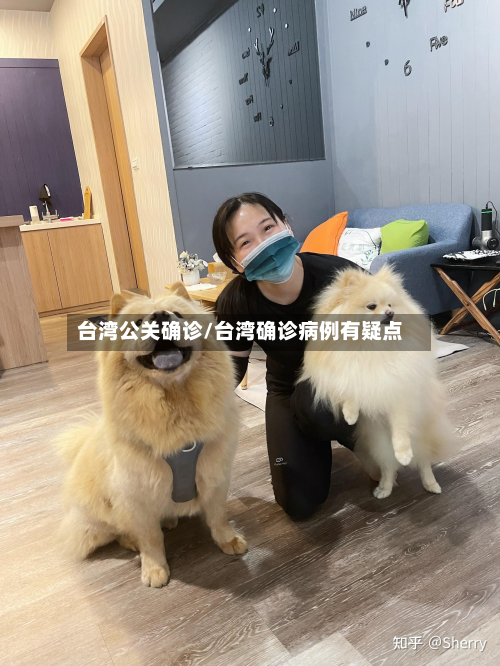 台湾公关确诊/台湾确诊病例有疑点-第2张图片