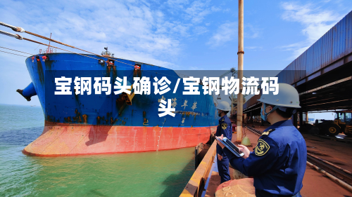 宝钢码头确诊/宝钢物流码头