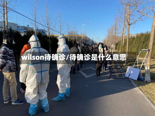 wilson待确诊/待确诊是什么意思-第2张图片