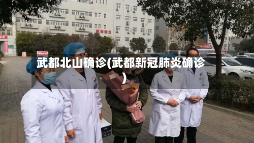 武都北山确诊(武都新冠肺炎确诊)