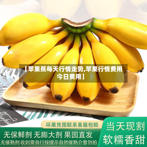 【苹果蕉每天行情走势,苹果行情费用今日费用】
