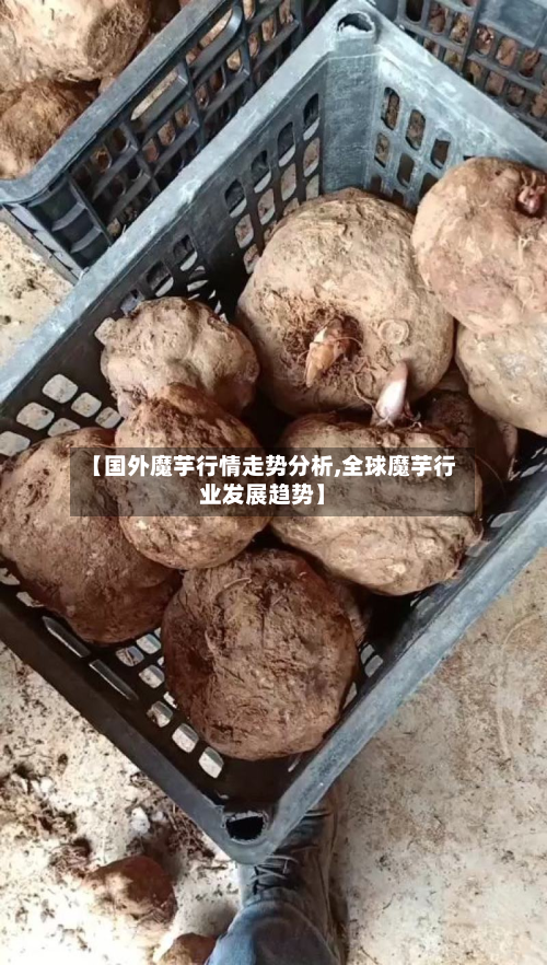 【国外魔芋行情走势分析,全球魔芋行业发展趋势】-第2张图片