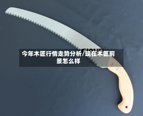 今年木匠行情走势分析/现在木匠前景怎么样-第2张图片