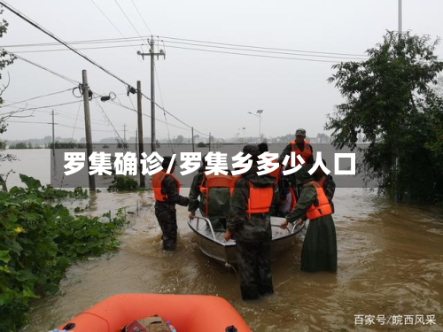 罗集确诊/罗集乡多少人口