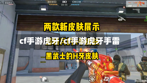 cf手游虎牙/cf手游虎牙手雷-第3张图片