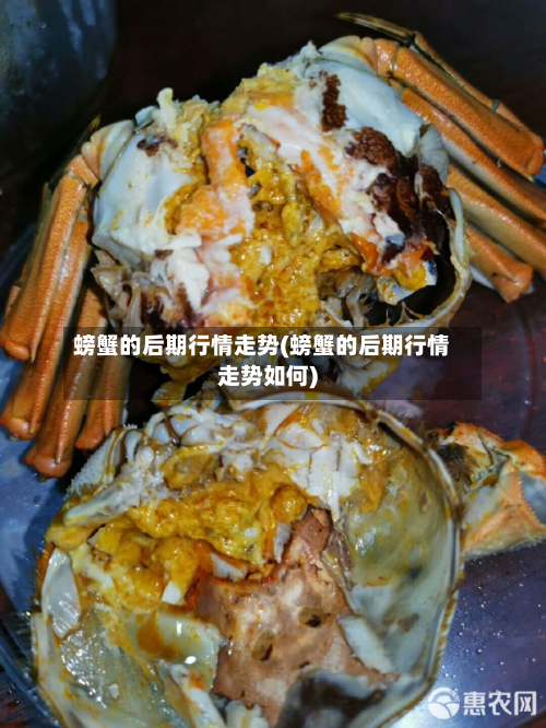 螃蟹的后期行情走势(螃蟹的后期行情走势如何)