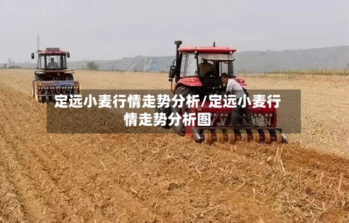 定远小麦行情走势分析/定远小麦行情走势分析图-第2张图片