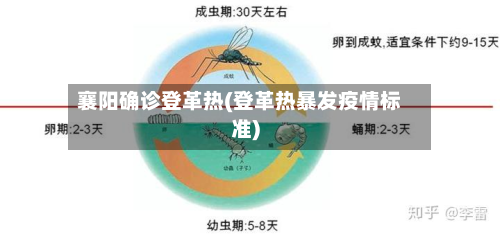襄阳确诊登革热(登革热暴发疫情标准)