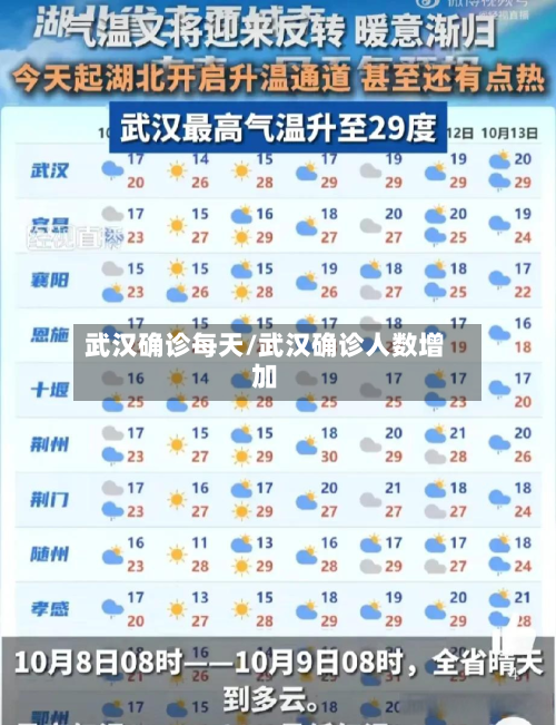武汉确诊每天/武汉确诊人数增加-第2张图片