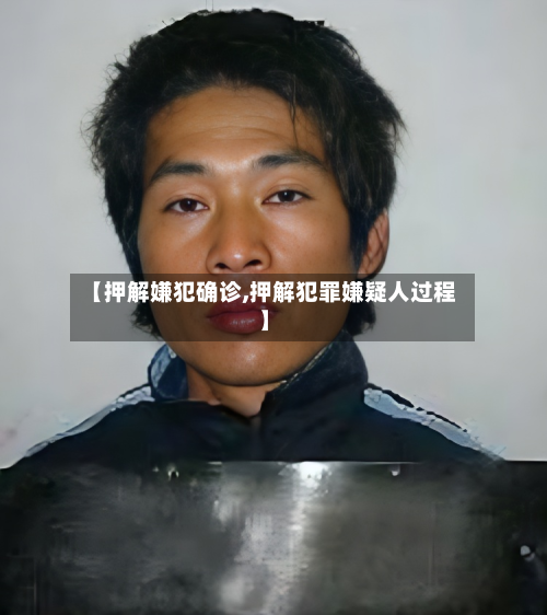 【押解嫌犯确诊,押解犯罪嫌疑人过程】