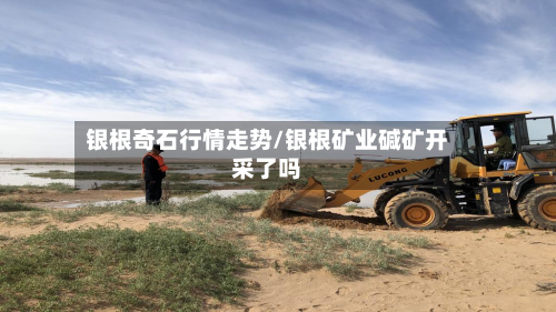 银根奇石行情走势/银根矿业碱矿开采了吗-第2张图片