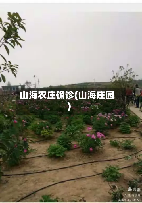 山海农庄确诊(山海庄园)